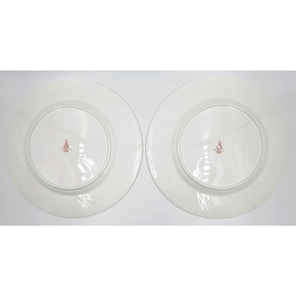 Royal Doulton England Arcadia H4802 Dinner Plates Brown Backstamp Set of 2 - Picture 5 of 9